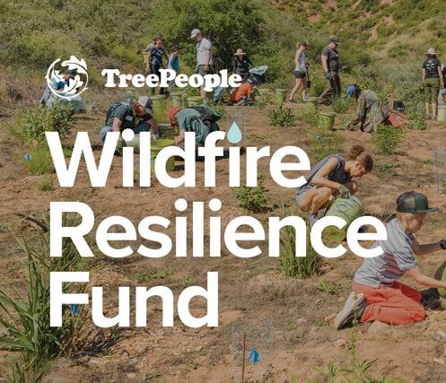 Wildfire Resilience: A Transcontinental Conversation 1